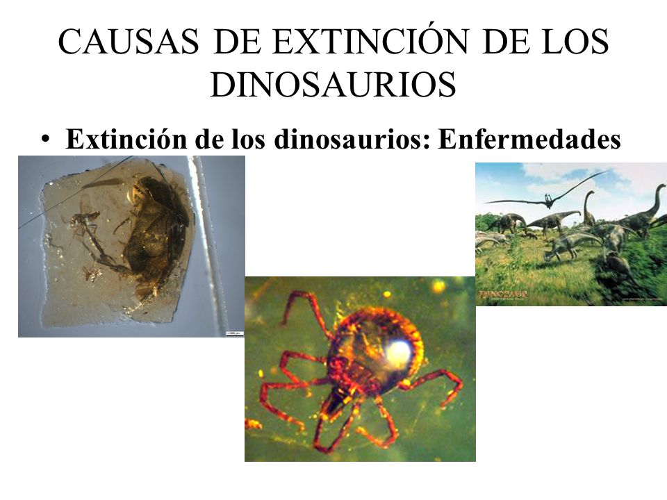 Con la orina puede salir la lombriz